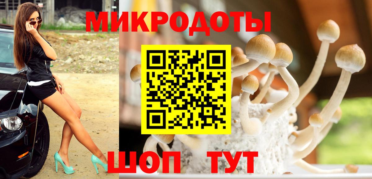 Псилоцибиновые грибы MAGIC MUSHROOMS  Вход с VPN  Псилоцибиновые грибы GOLDEN TEACHER  Ивантеевка 